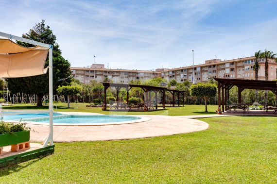 Bungalow - Resale - TORREVIEJA - Center