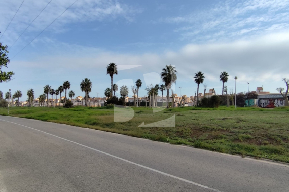 Бунгало - Продажа - TORREVIEJA - Торрета