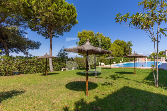 Bungalow - Segunda Mano - TORREVIEJA - La Mata