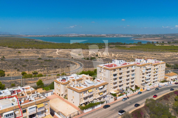 Bungalow - Nowo zbudowane - TORREVIEJA - 