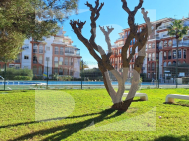 Apartamento · Segunda Mano TORREVIEJA · La Mata