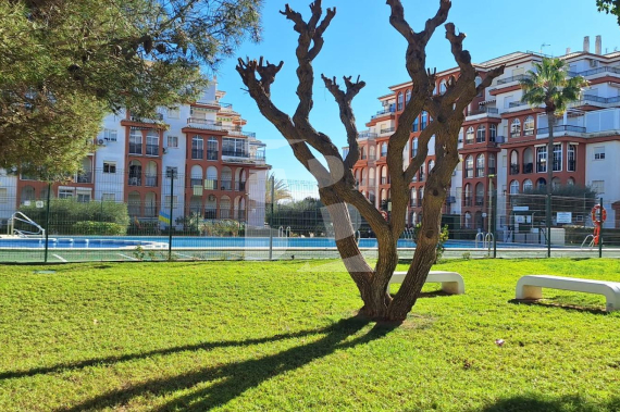 Apartment - Resale - TORREVIEJA - La Mata