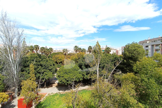 Apartamento - Segunda Mano - TORREVIEJA - Acequion