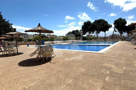 Дуплекс - Продажа - TORREVIEJA - Зона Карефур