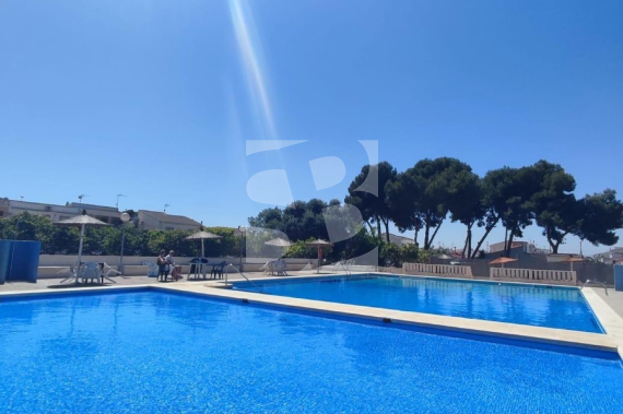 Дуплекс - Продажа - TORREVIEJA - Зона Карефур