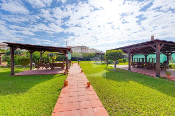 Apartment - Odsprzedaż - TORREVIEJA - Centro