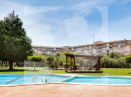 Apartamento · Segunda Mano TORREVIEJA · Centro
