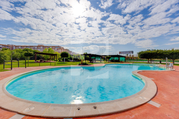 Apartment - Odsprzedaż - TORREVIEJA - Centro