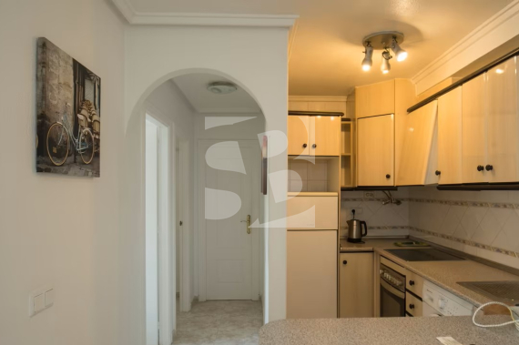 Bungalow - Resale - CIUDAD QUESADA - C. Quesada