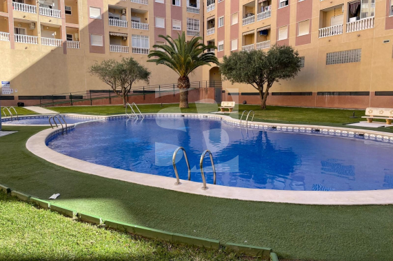 Apartamento - Segunda Mano - TORREVIEJA - Centro