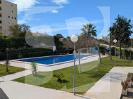 Estudio · Segunda Mano TORREVIEJA · La Mata