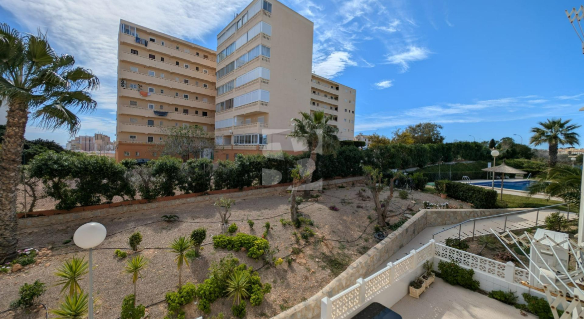 Estudio · Segunda Mano TORREVIEJA · La Mata