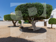 Бунгало · Продажа TORREVIEJA · Zona Carrefour