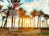 Dúplex · La Revente ORIHUELA COSTA · Los Altos