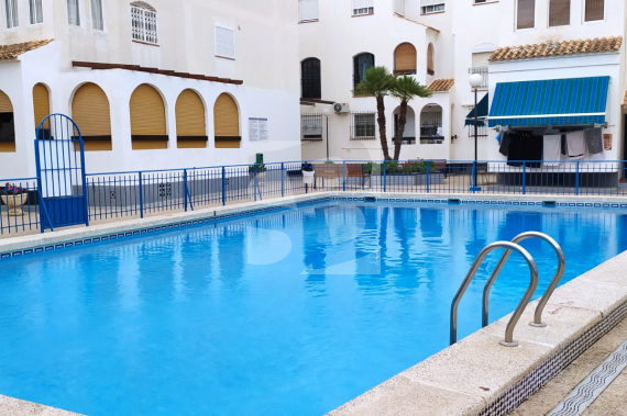 Estudio - Segunda Mano - TORREVIEJA - Acequion