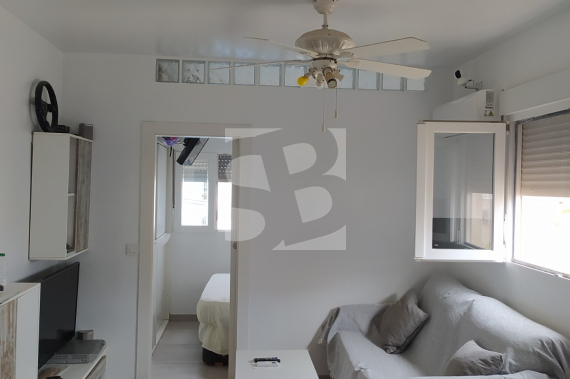 Estudio - Segunda Mano - TORREVIEJA - Acequion