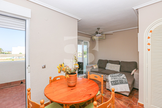 Bungalow - La Revente - TORREVIEJA - Zona Carrefour