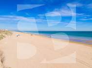 Chalet · Segunda Mano CIUDAD QUESADA · C. Quesada