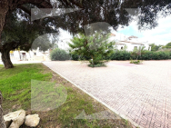 Bungalow · La Revente SAN MIGUEL DE SALINAS · Blue Lagoon