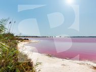 Бунгало · Продажа TORREVIEJA · Centro