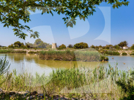 Chalet · Odsprzedaż LA MARINA · 