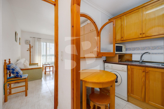 Estudio - Segunda Mano - TORREVIEJA - Centro