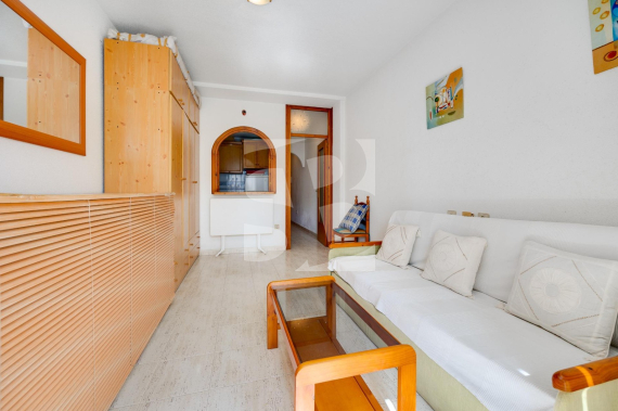 Estudio - Segunda Mano - TORREVIEJA - Centro