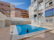 Studio · La Revente TORREVIEJA · Centro