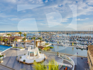 Studio · La Revente TORREVIEJA · Centro