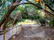 Dúplex · La Revente TORREVIEJA · Zone Carrefour