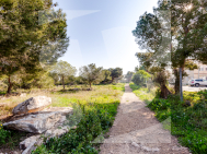 Dúplex · La Revente TORREVIEJA · Zone Carrefour