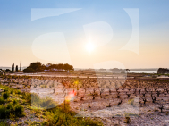 Dúplex · La Revente TORREVIEJA · Zone Carrefour