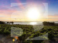 Dúplex · La Revente TORREVIEJA · Zone Carrefour