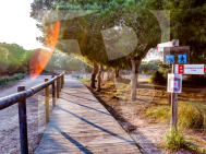 Dúplex · La Revente TORREVIEJA · Zone Carrefour