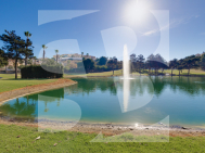 Local comercial · Segunda Mano CIUDAD QUESADA · C. Quesada