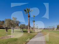 Local comercial · Segunda Mano CIUDAD QUESADA · C. Quesada