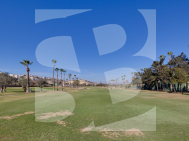 Local comercial · Segunda Mano CIUDAD QUESADA · C. Quesada