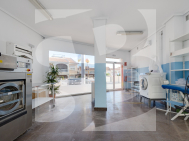 Local comercial · Segunda Mano CIUDAD QUESADA · C. Quesada