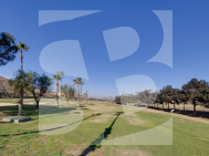 Local comercial · Segunda Mano CIUDAD QUESADA · C. Quesada