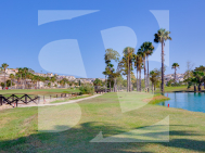 Local comercial · Segunda Mano CIUDAD QUESADA · C. Quesada