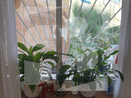 Дуплекс · Продажа ROJALES · Cuidad Quesada