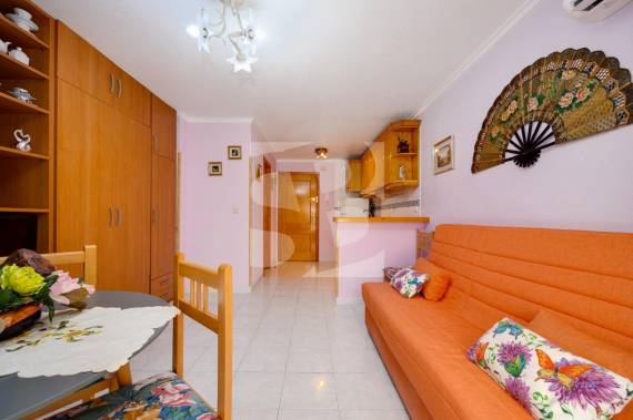 Estudio - Segunda Mano - TORREVIEJA - Acequion