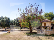 Studio · La Revente TORREVIEJA · Acequion