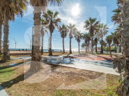 Estudio · Segunda Mano TORREVIEJA · La Mata