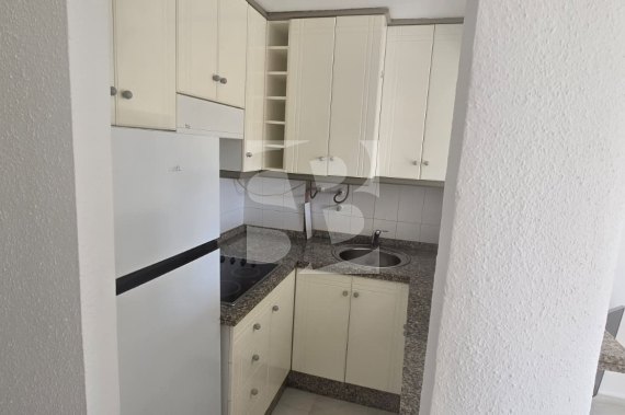 Estudio - Segunda Mano - TORREVIEJA - La Mata