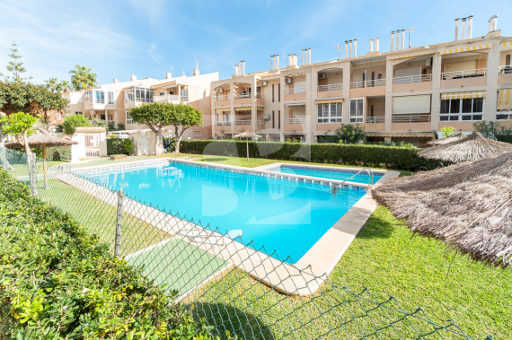 Apartamento - Segunda Mano - TORREVIEJA - Los Frutales