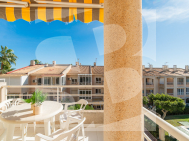 Apartamento · Segunda Mano TORREVIEJA · Los Frutales