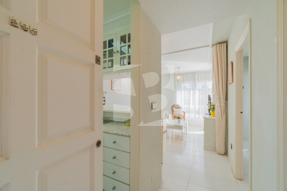 Apartamento - Segunda Mano - TORREVIEJA - Los Frutales