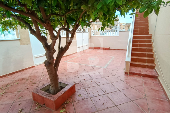 Bungalow - La Revente - TORREVIEJA - Zona Carrefour