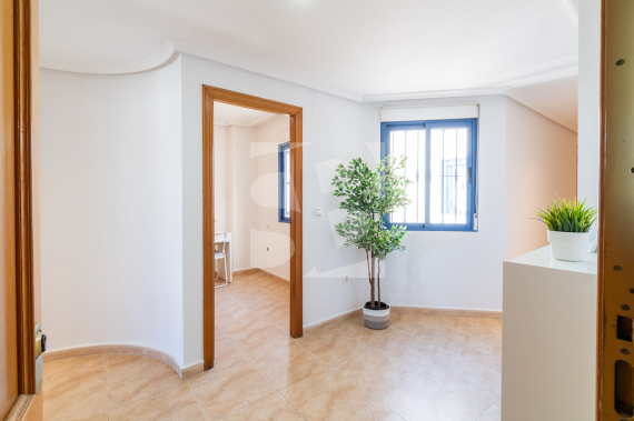 Atico - Segunda Mano - TORREVIEJA - Centro